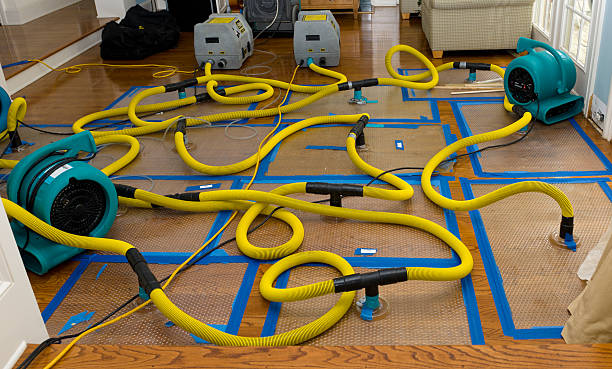 Professional Sewage Cleanup technician working in Acushnet, MA